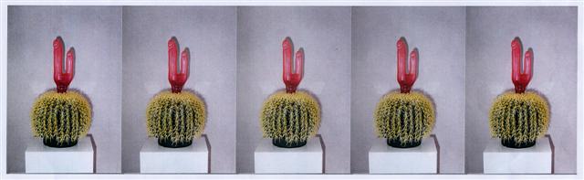Kaktus-Installation B, 1999
